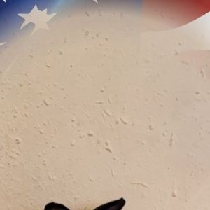 Meet your Posher, Kaytlin